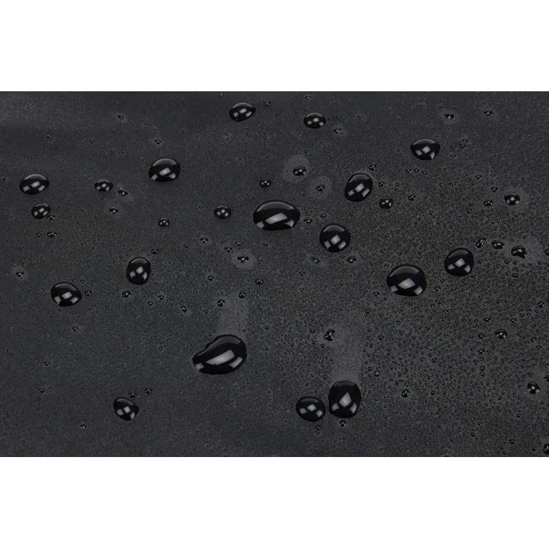 Thule Chasm Duffel Bag, 30L Black Waterproof