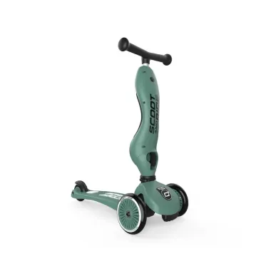 2-in-1 3-Wheel Scooter Scoot And Ride Highwaykick 1 - In Stock!