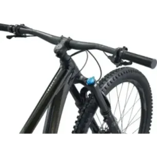 Mountain bike GIANT Trance X 29 1, Panther (L)
