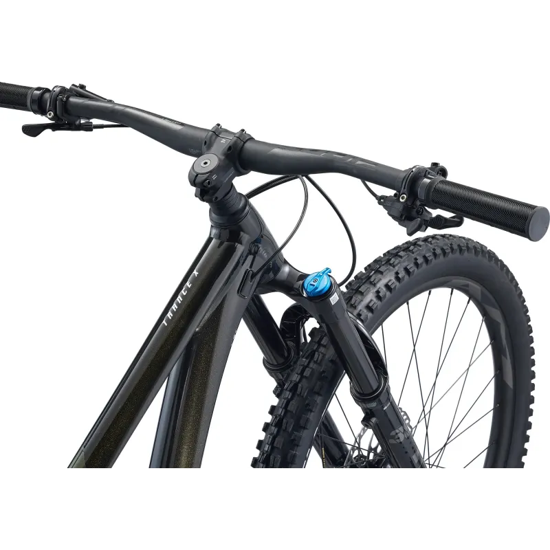 Mountain bike GIANT Trance X 29 1, Panther (L)