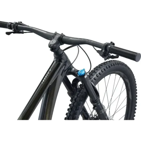 Mountain bike GIANT Trance X 29 1, Panther (L)