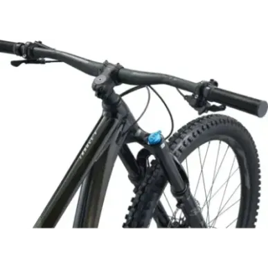 Mountain bike GIANT Trance X 29 1, Panther (L)