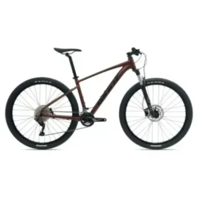 Bicycle GIANT Talon 29 1 GE, Hematite (XL)