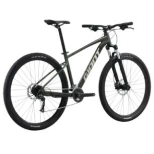 Bicycle GIANT Talon 29 2, Phantom green (M)