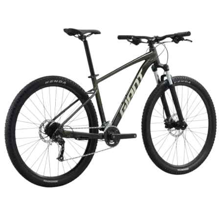 Bicycle GIANT Talon 29 2, Phantom green (L)