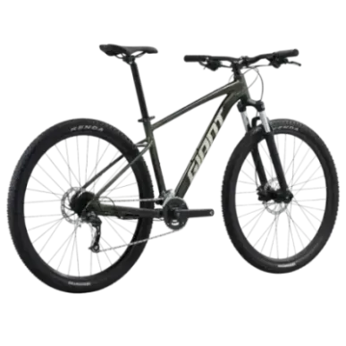 Bicycle GIANT Talon 29 2, Phantom green (L)