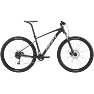 Bicycle GIANT Talon 29 2, Phantom green (L)