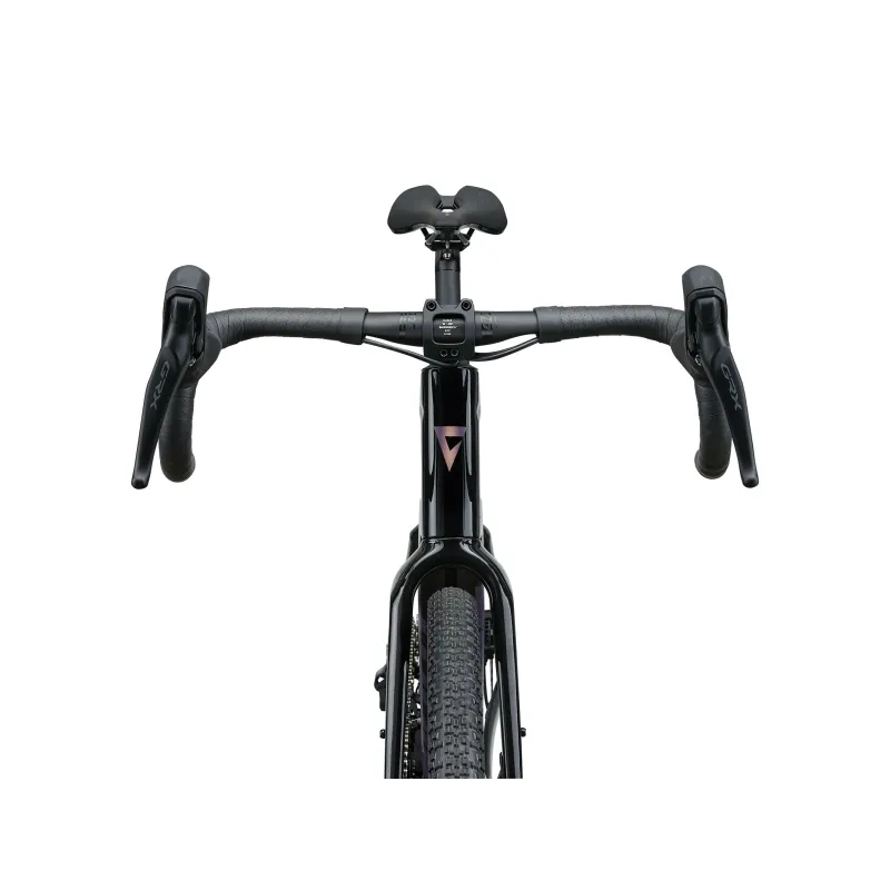 Gravel bike GIANT Revolt Advanced 2 (2025) Carbon (M/L)