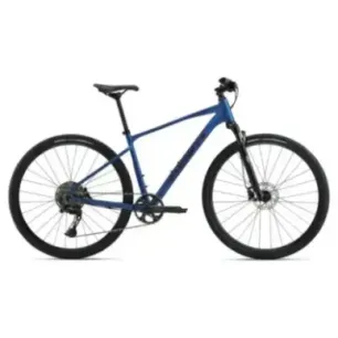 Bicycle GIANT Roam 1, Electron Blue (L)