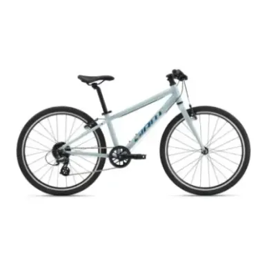 Ultralight children's bike GIANT ARX 24, Soap Suds
