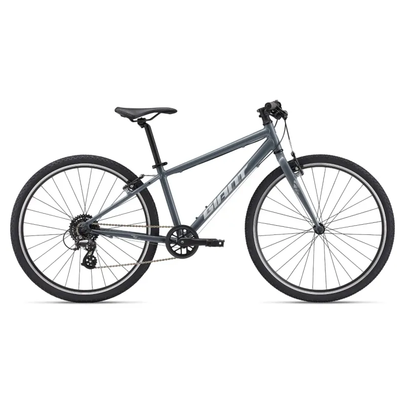 Ultralight youth bike GIANT ARX 26, Ocean Storm