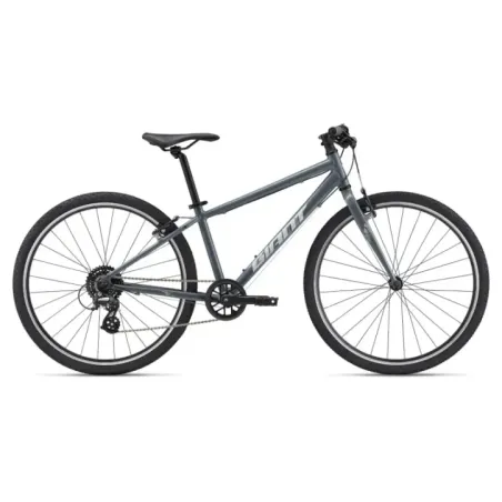 Ultralight youth bike GIANT ARX 26, Ocean Storm