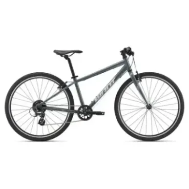 Ultralight youth bike GIANT ARX 26, Ocean Storm