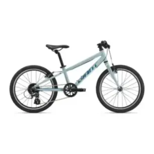 Ultralight children's bike GIANT ARX 20, Soap Suds