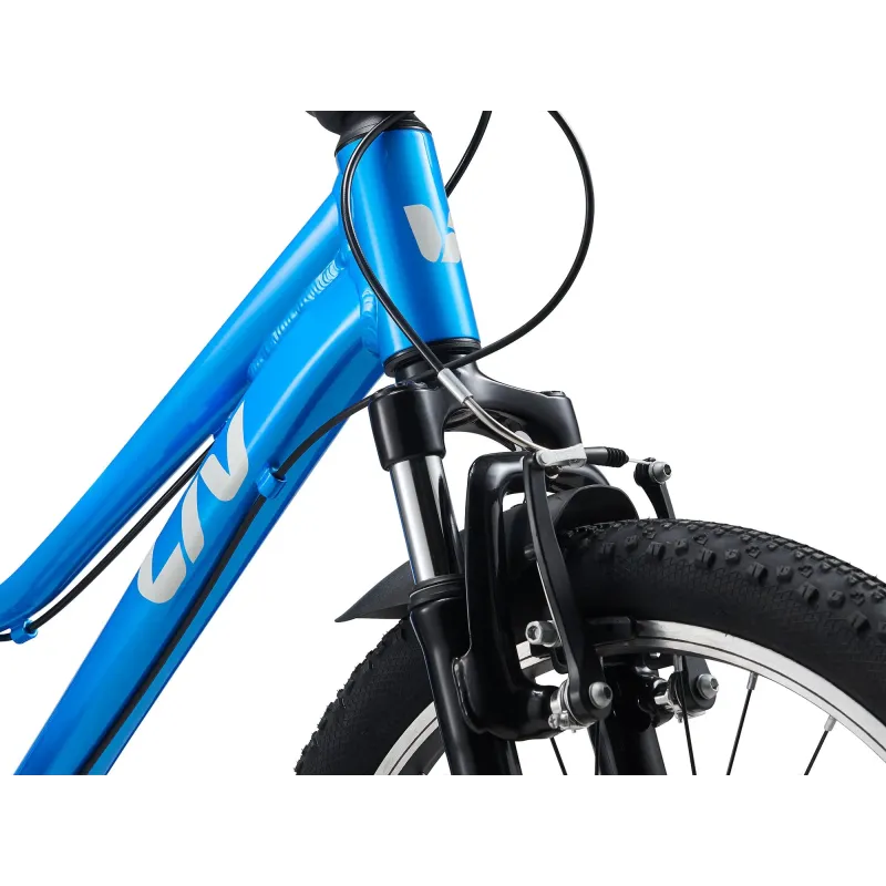 Children's bicycle LIV Tempt 20, AI Blue