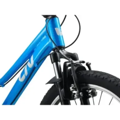 Children's bicycle LIV Tempt 20, AI Blue