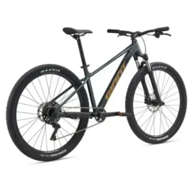 Bicycle GIANT Talon 2, 29" Asphalt Green (L)