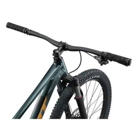Bicycle GIANT Talon 2, 29" Asphalt Green (L)