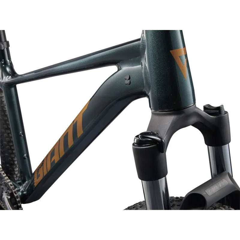 Bicycle GIANT Talon 2, 29" Asphalt Green (L)