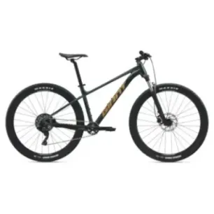 Bicycle GIANT Talon 2, 29" Asphalt Green (L)