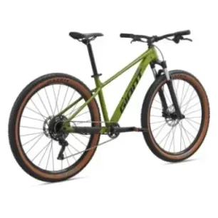 Bicycle GIANT Talon 2, 29" Dried Matcha (L)