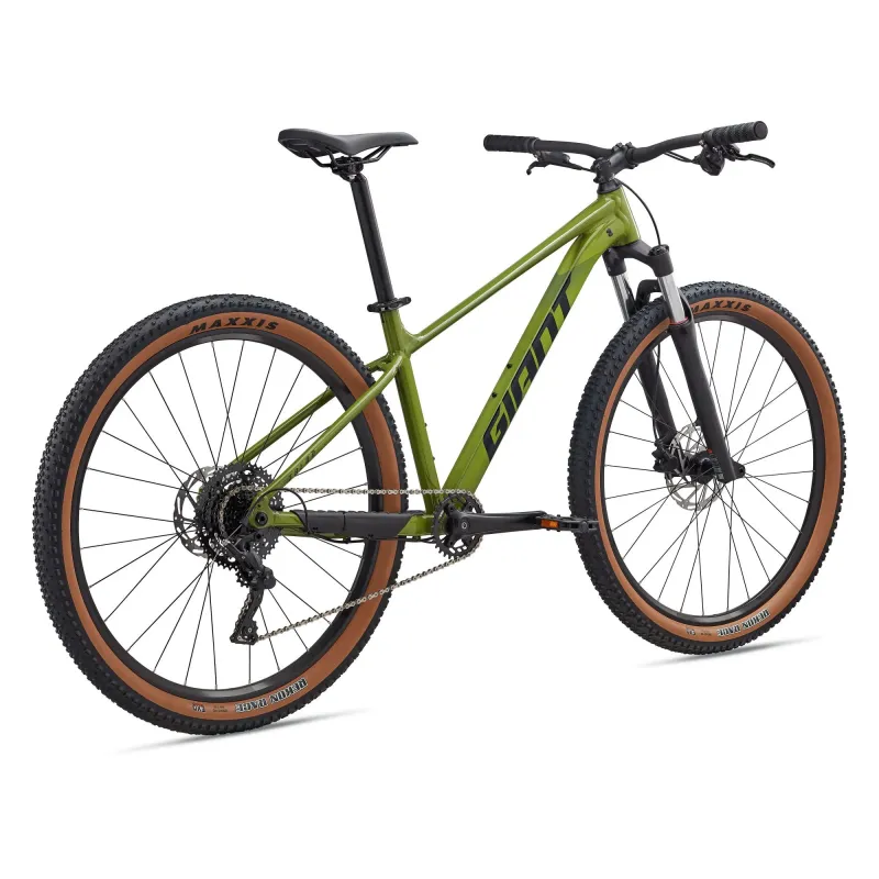 Bicycle GIANT Talon 2, 29" Dried Matcha (L)