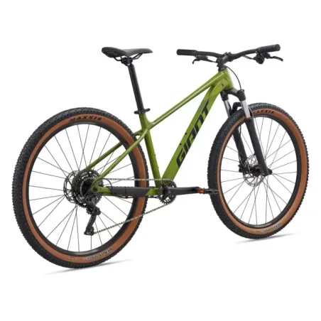 Bicycle GIANT Talon 2, 29" Dried Matcha (L)