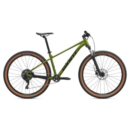 Bicycle GIANT Talon 2, 29" Dried Matcha (L)