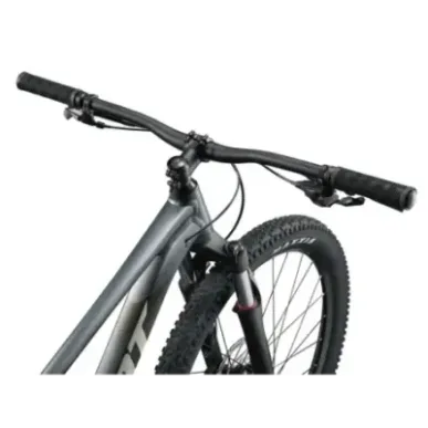 Bicycle GIANT Talon 1, 29" Charcoal (L)