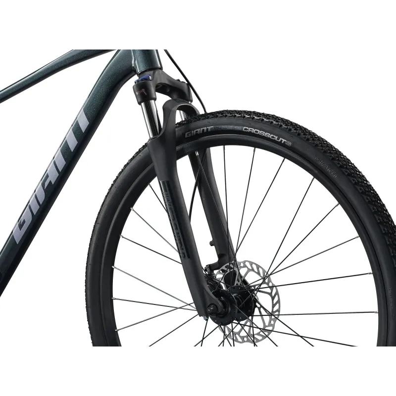 GIANT Roam 2 Bicycle, Asphalt Green (M)
