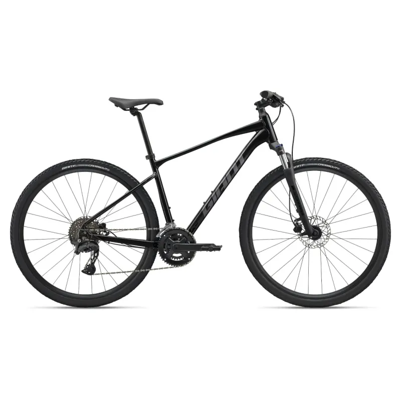 GIANT Roam 2 Bicycle, Black (M)