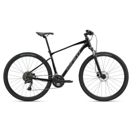 GIANT Roam 2 Bicycle, Black (M)