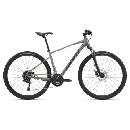 Bicycle GIANT Roam 3, Metal (XL)