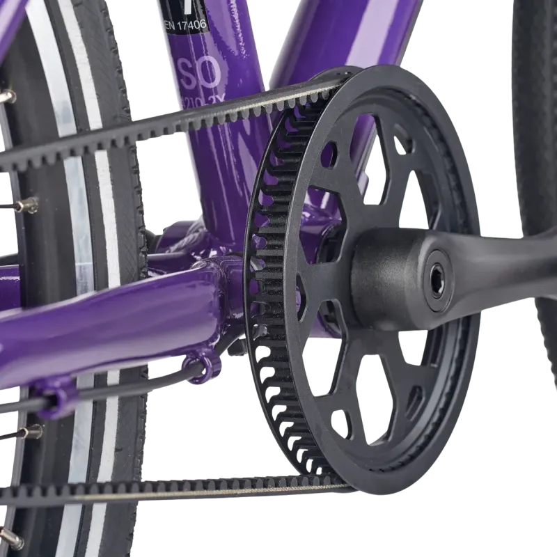 Ultralight children's bike ACADEMY Grade 4 Belt, 20" Purple