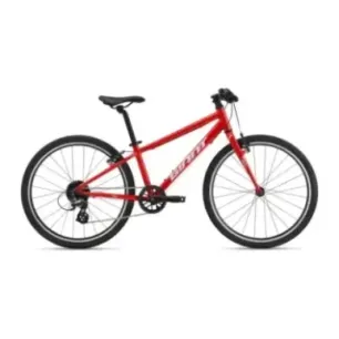 Ultralight children's bicycle GIANT ARX 24, Phoenix Fire