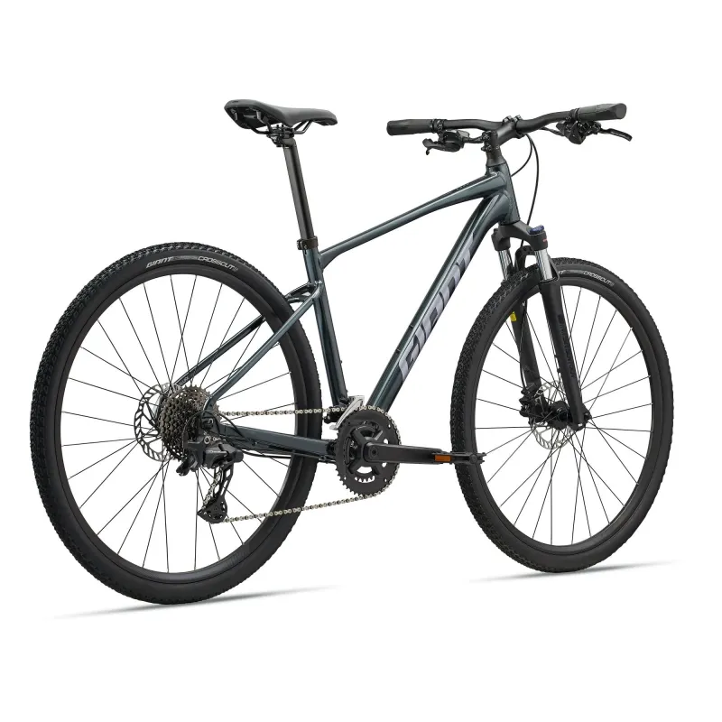 GIANT Roam 2 Bicycle, Asphalt Green (L)