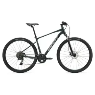 GIANT Roam 2 Bicycle, Asphalt Green (L)