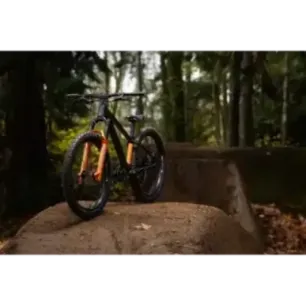 Children's bicycle GIANT STP 24 (2026) Black Chrome