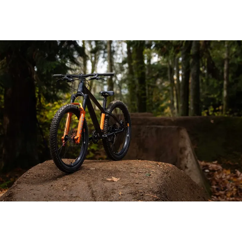 Children's bicycle GIANT STP 24 (2026) Black Chrome