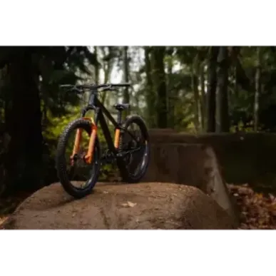 Children's bicycle GIANT STP 24 (2026) Black Chrome