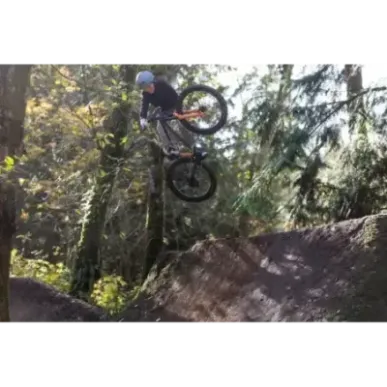 Children's bicycle GIANT STP 24 (2026) Black Chrome