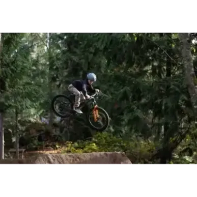 Children's bicycle GIANT STP 24 (2026) Black Chrome