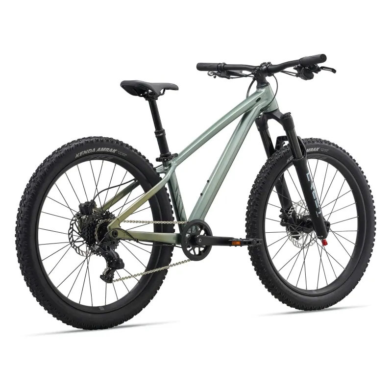 Children's bicycle LIV STP 24, Alpine Green