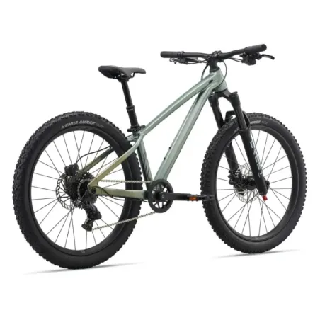 Children's bicycle LIV STP 24, Alpine Green