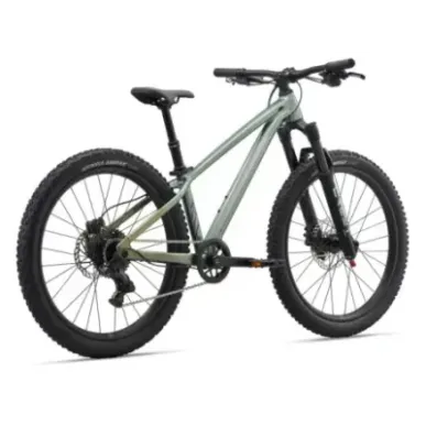 Children's bike LIV STP 20, Soap Suds