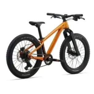 Children's bicycle GIANT STP 20, Metallic Orange