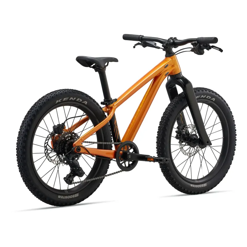 Children's bicycle GIANT STP 20, Metallic Orange
