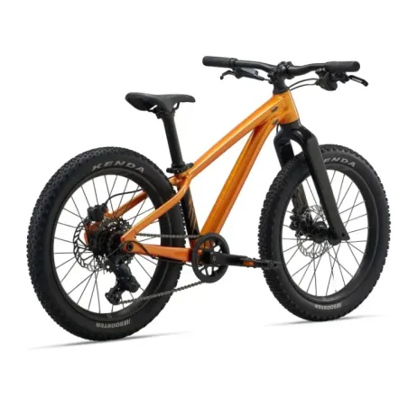 Children's bicycle GIANT STP 20, Metallic Orange