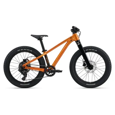 Children's bicycle GIANT STP 20, Metallic Orange