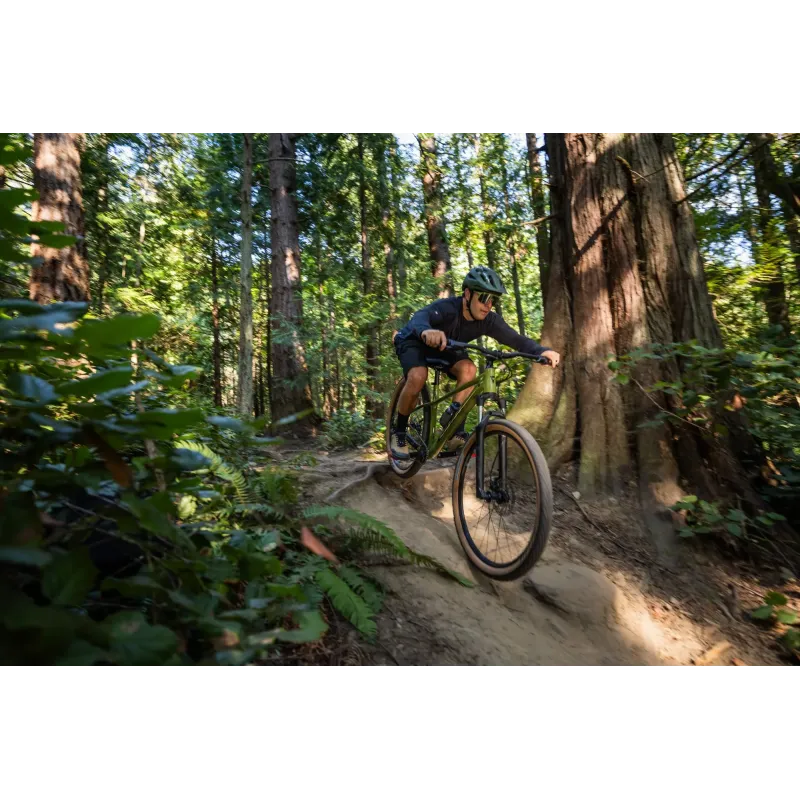 Bicycle GIANT Talon 2, 27.5" XS, Dried Matcha